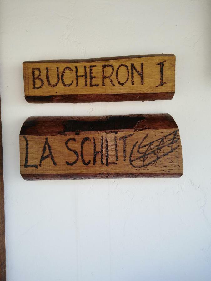 Le Gite Du Bucheron Dabo Buitenkant foto