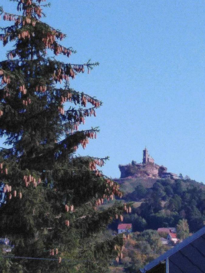 Le Gite Du Bucheron Dabo Buitenkant foto