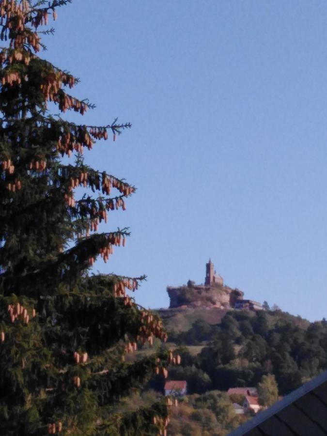 Le Gite Du Bucheron Dabo Buitenkant foto